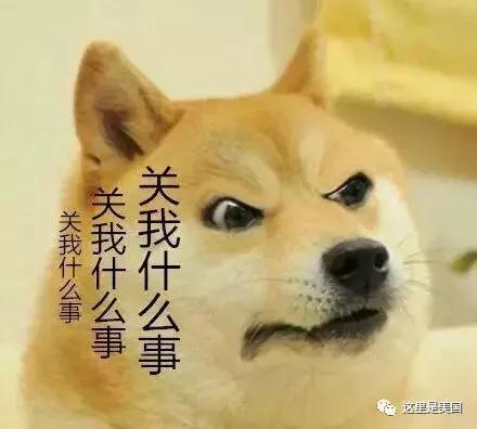 求求你们,外国牌子还是不要做春节商品了!