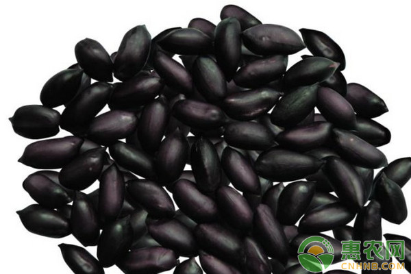 2018年农业种植什么东西最挣钱,今年种什么经济作物最赚钱