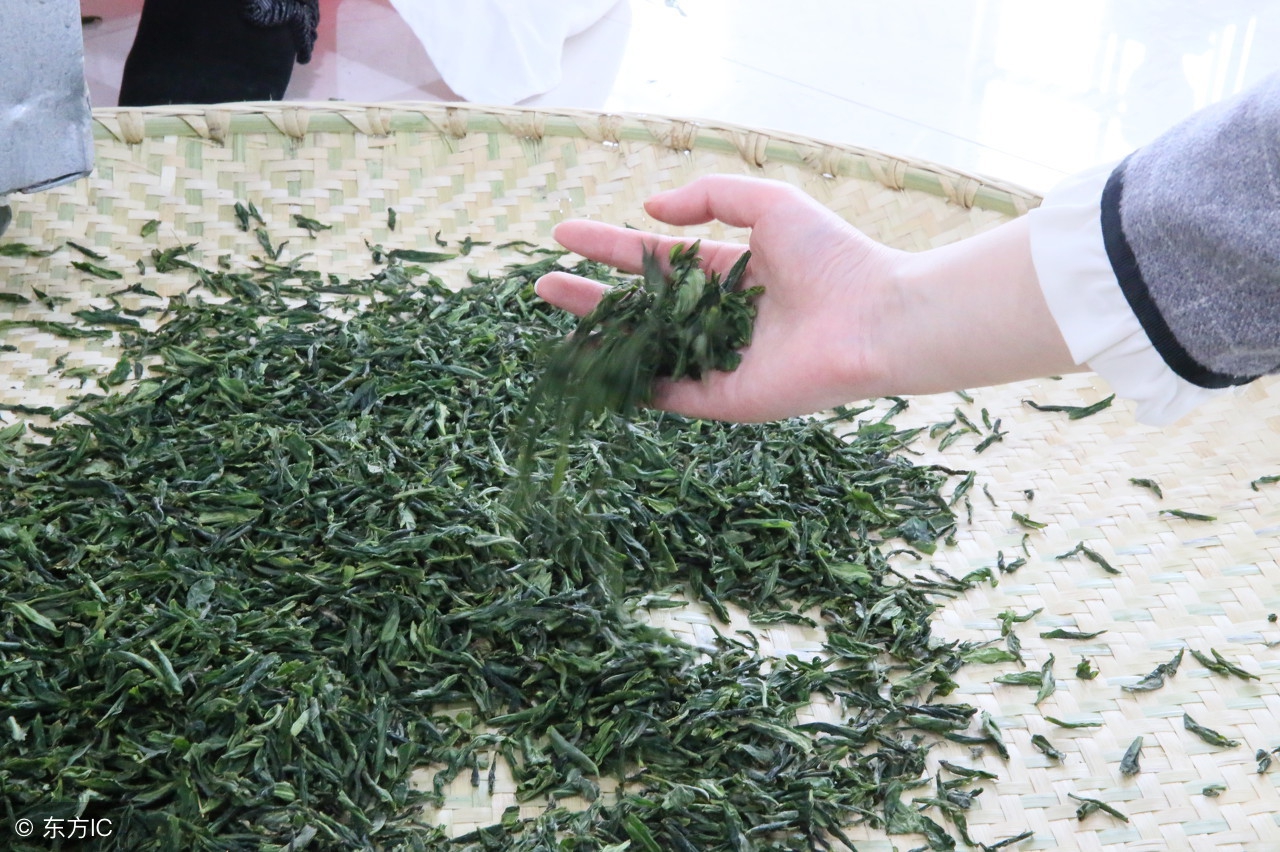 中国十大名茶最新排名,安徽名茶中被列为中国十大名茶