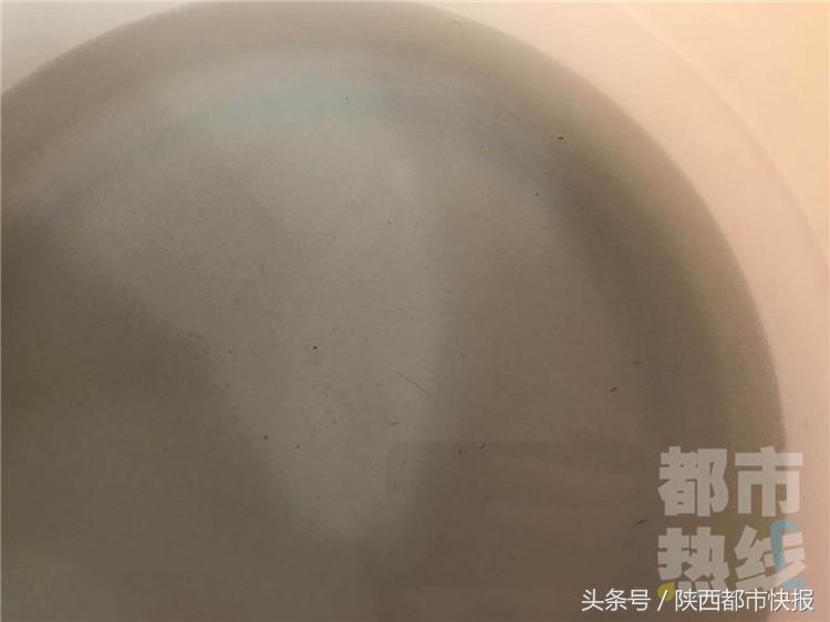 咋回事？自来水管内流出条形虫