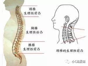 宝宝什么时候开始用定型枕最好,宝宝什么时候适合用定型枕