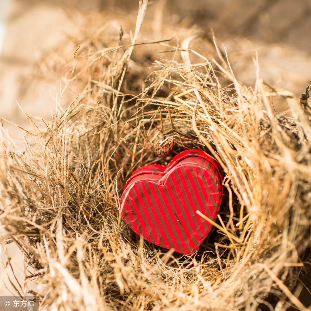 情人节十大最美现代情诗,情人节最美的诗句经典语录