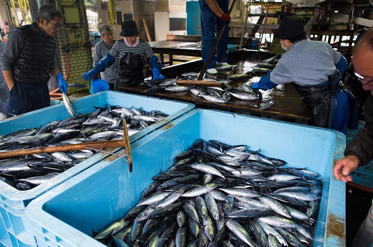 日本最美农民村庄,日本淳朴童话村落