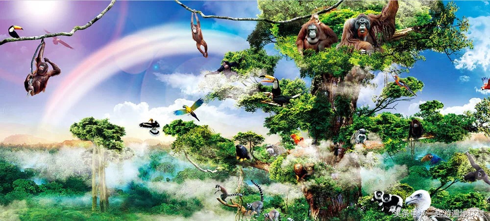 长隆野生动物世界游玩北门攻略,长隆野生动物世界旅游攻略路线