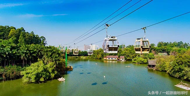 长隆野生动物世界游玩北门攻略,长隆野生动物世界旅游攻略路线