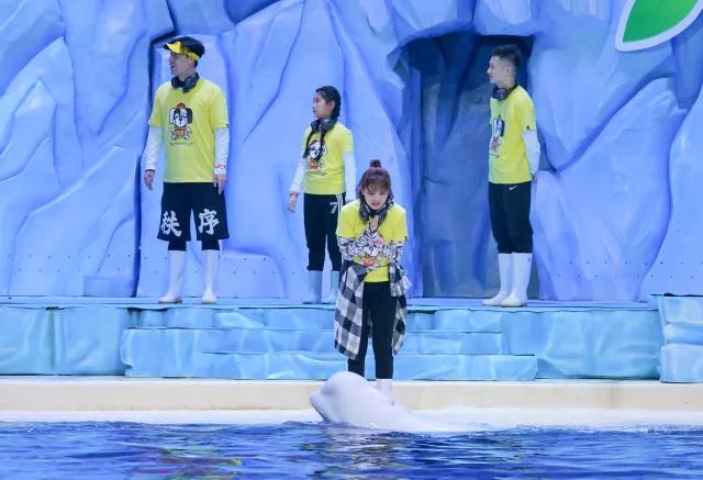 腊月二十四到大年三十，每晚央视少儿频道陪你《过年啦》！