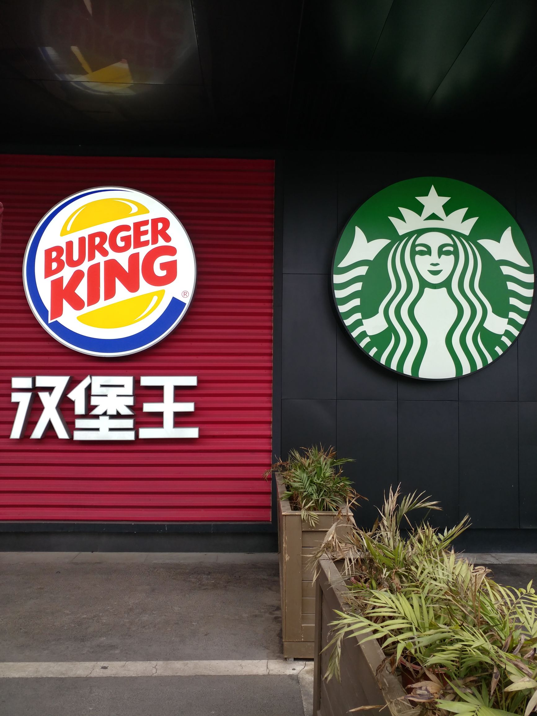 lgv20屏幕,lgv20视频手机评测