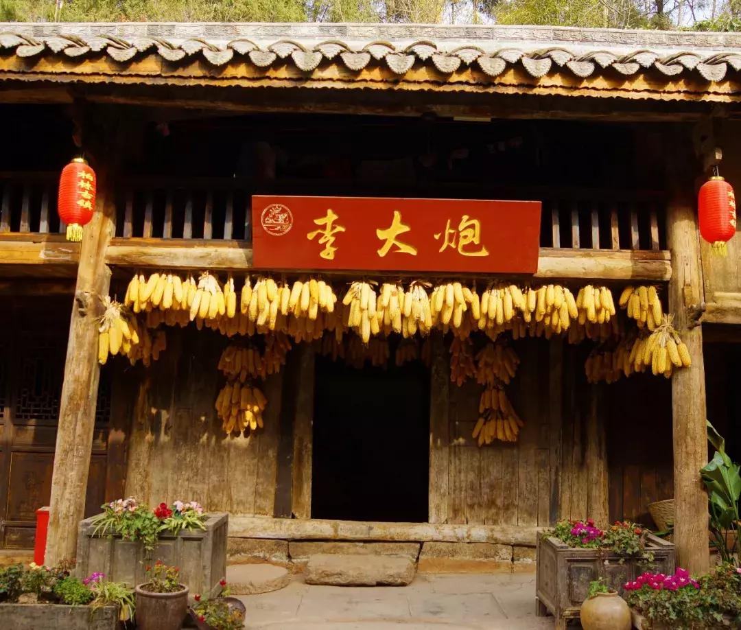 广元市柏林樱花节,广元柏林大型樱花节