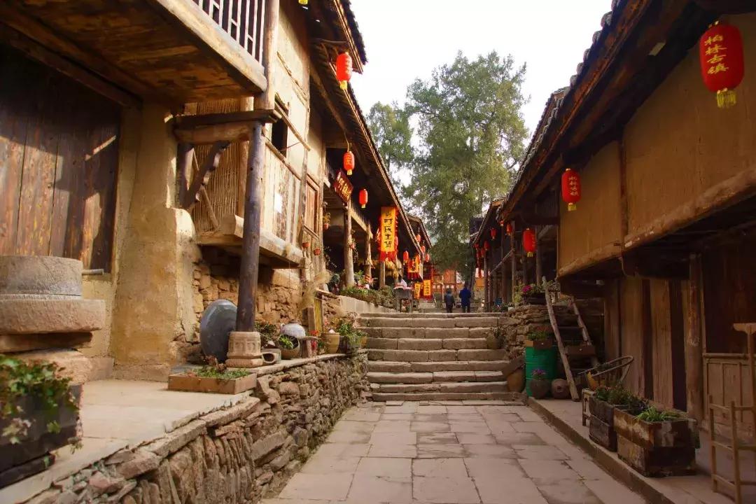 广元市柏林樱花节,广元柏林大型樱花节