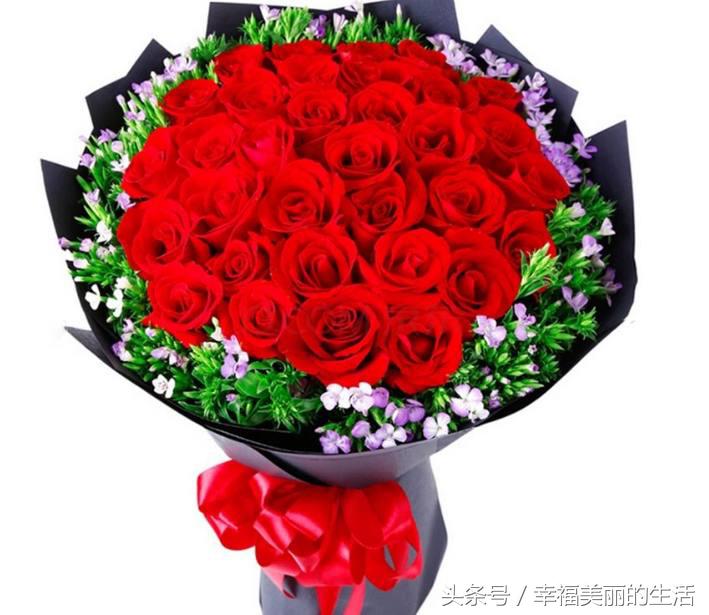 十种漂亮的玫瑰花,10种最好看的玫瑰花排名