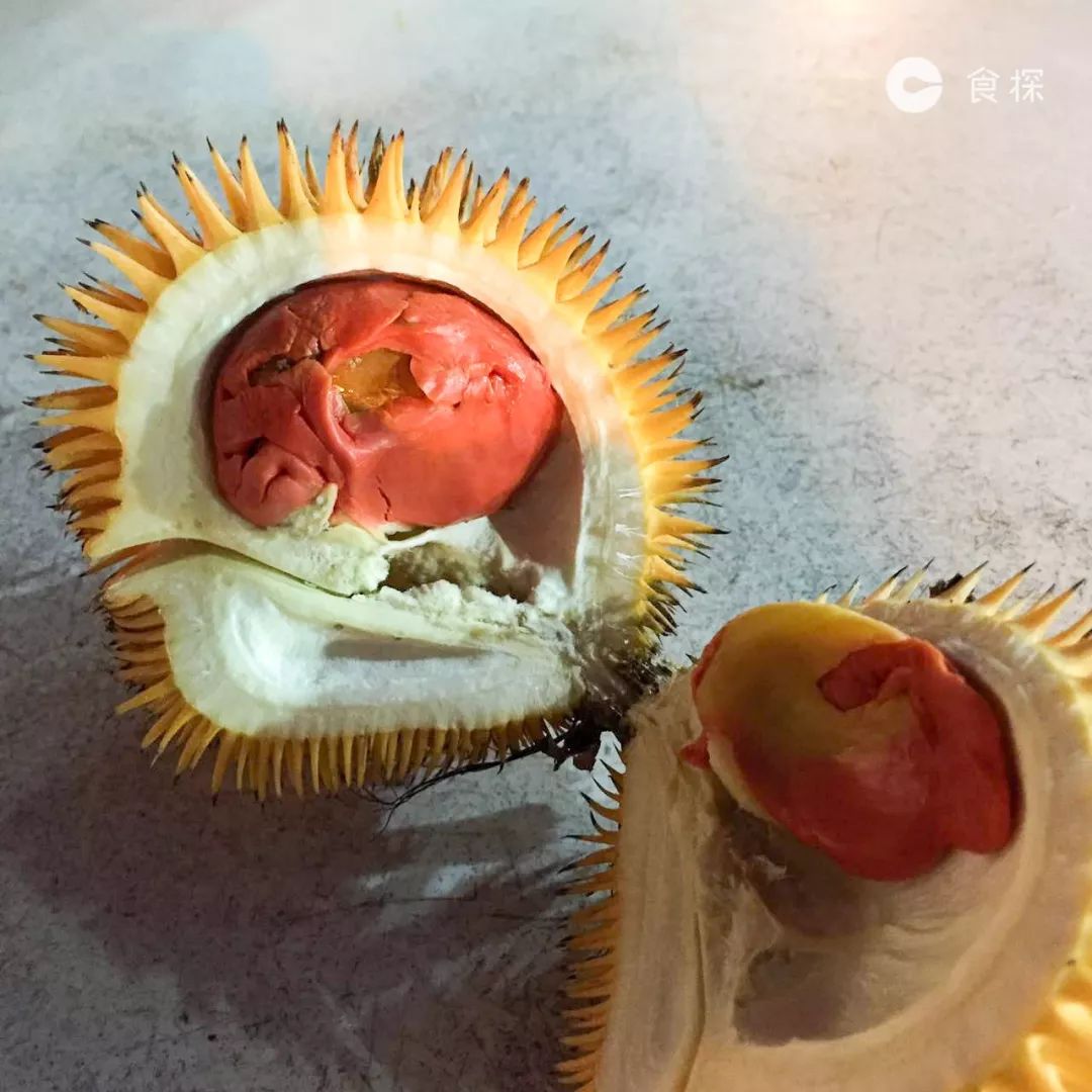 沙巴一日游必去的地方,沙巴旅行带你逛逛沙巴的海鲜早市