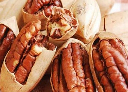 怀孕初期吃不下东西怎么缓解,怀孕初期呕吐吃不下怎么办