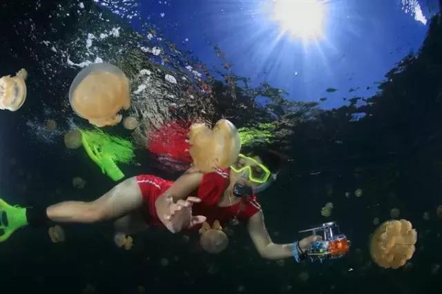 帕劳旅游攻略小册子,帕劳旅游攻略大全集