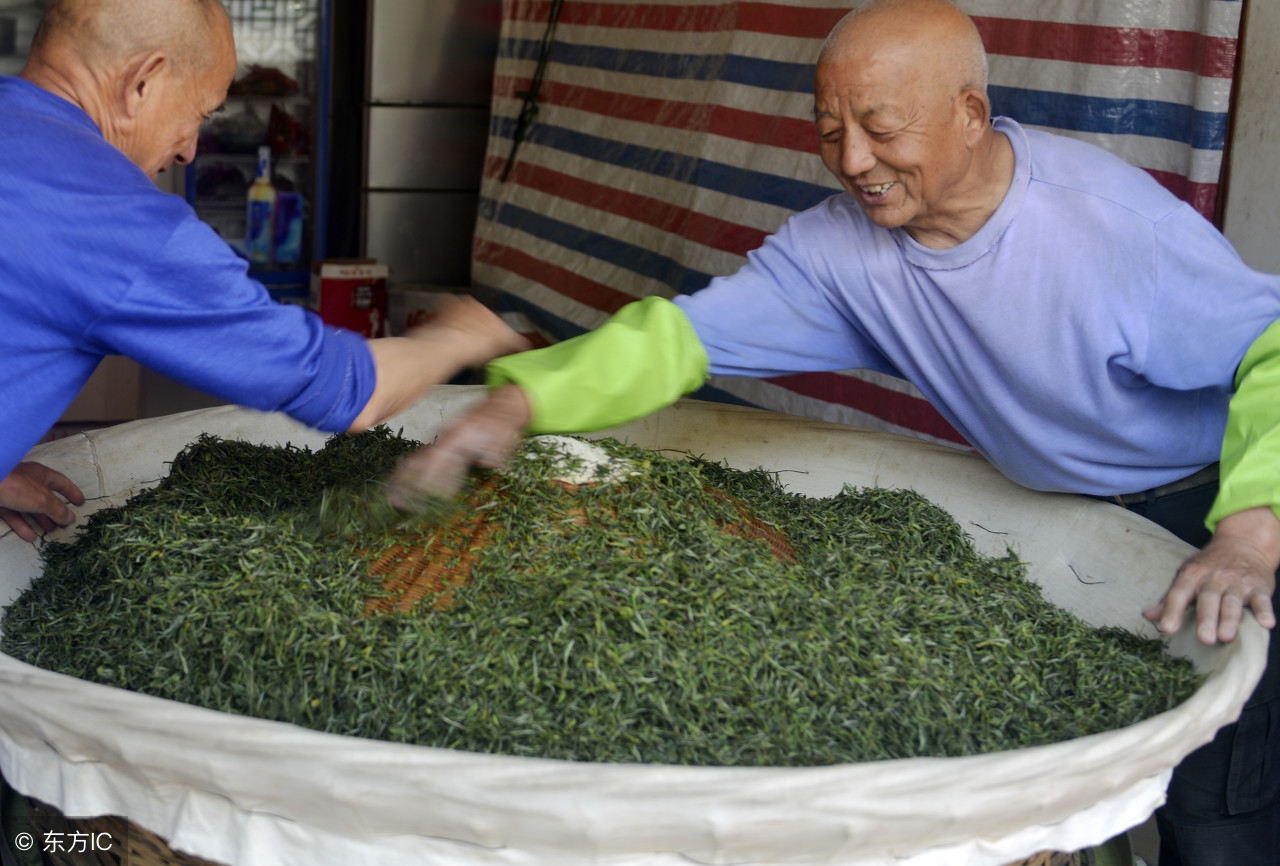 中国十大名茶最新排名,安徽名茶中被列为中国十大名茶
