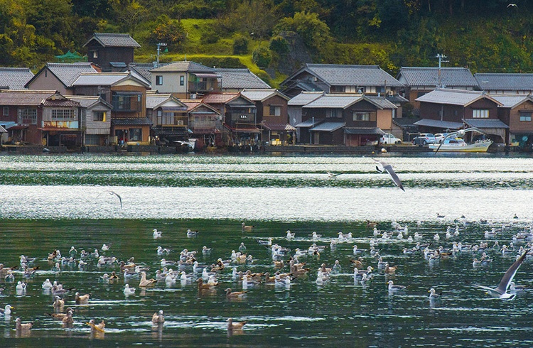 日本最美农民村庄,日本淳朴童话村落