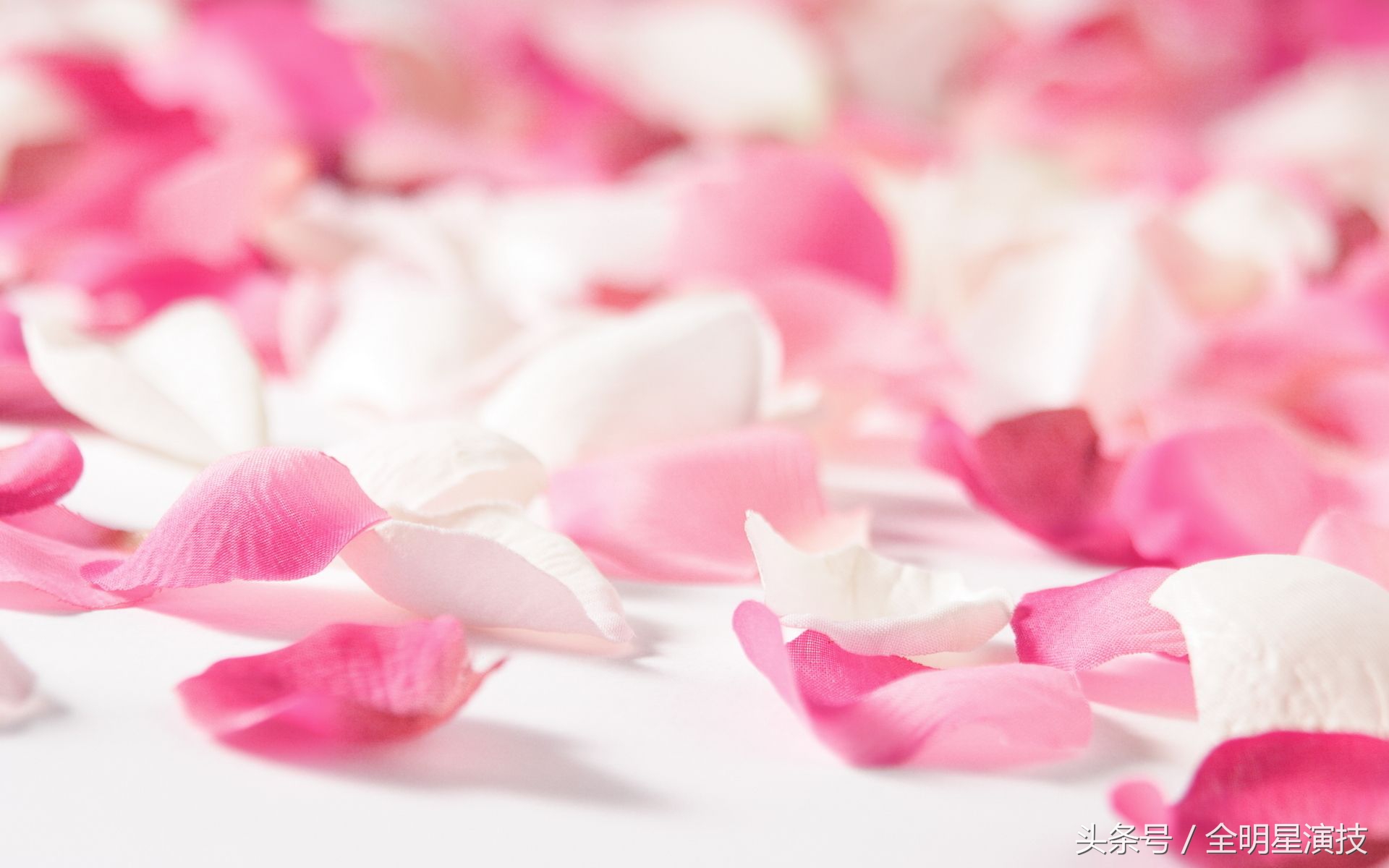 涂磊送你恋人情感经典语录总结,喜欢拿走,不谢不谢