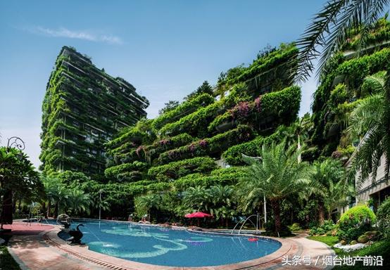 凤凰之约完整版,碧桂园凤凰烟台