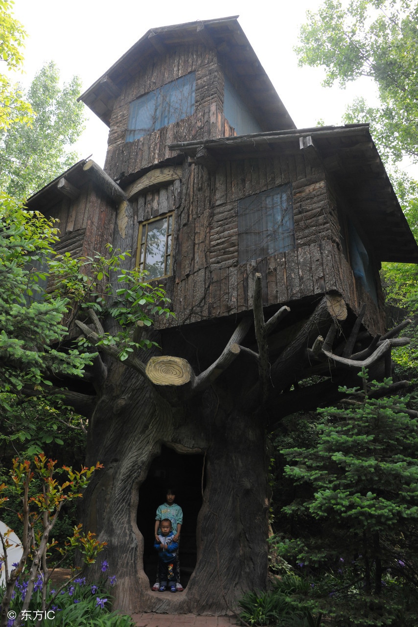 下辈子我们做夫妻好不好,下辈子做个松鼠