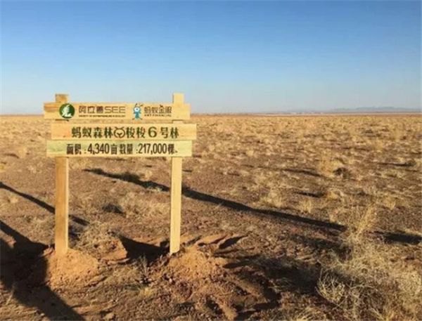 蚂蚁森林未来前景,蚂蚁森林万亿