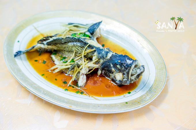 三亚离赤道有多少公里,三亚很远但是目的地并不遥远