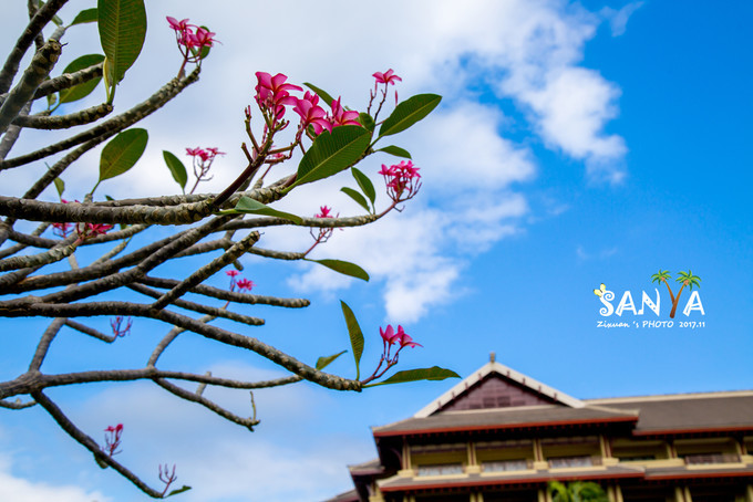 三亚离赤道有多少公里,三亚很远但是目的地并不遥远