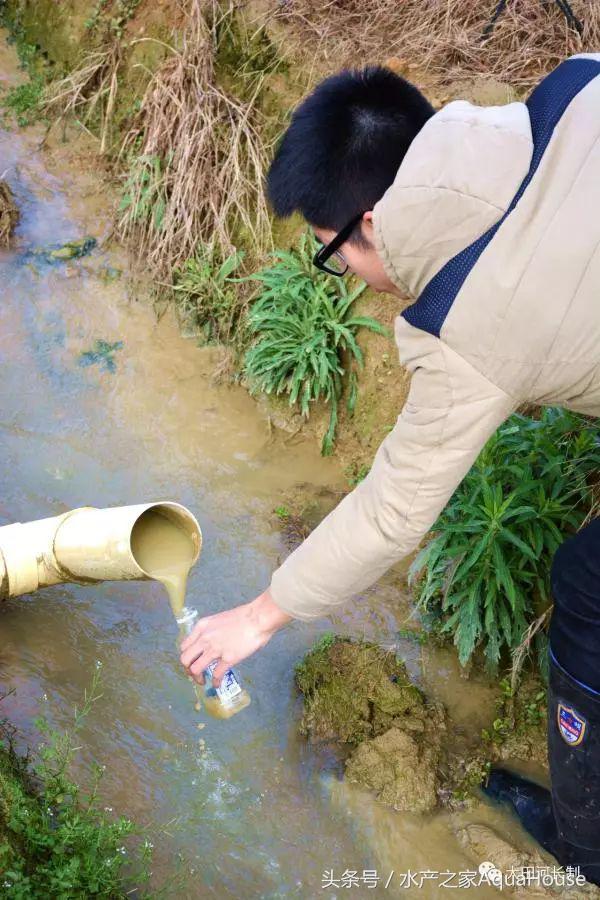 2018年12月19日全国水产价格,水产塘口每日最新报价