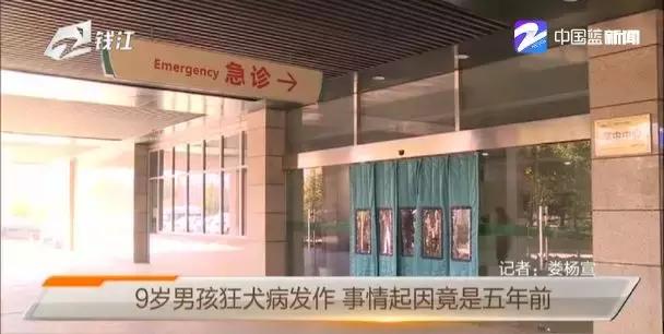 小孩被狗咬到狂犬病发作,9岁男童被狗抓伤得狂犬病