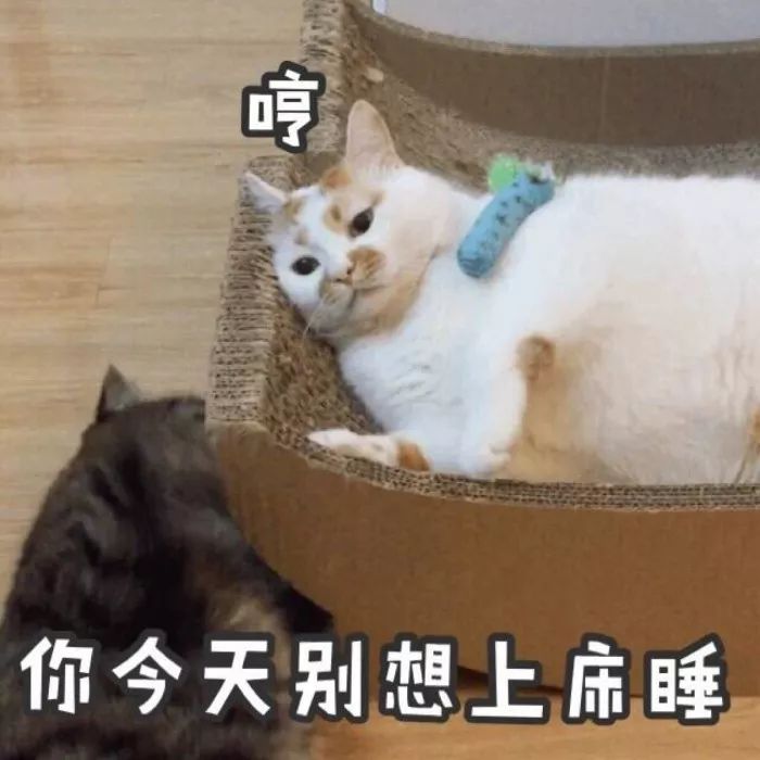 手贱翻了下男生的淘宝搜索记录，看完整个人都不好了！