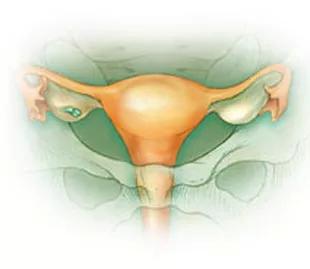 绝经后，子宫也会给你发出“警报”