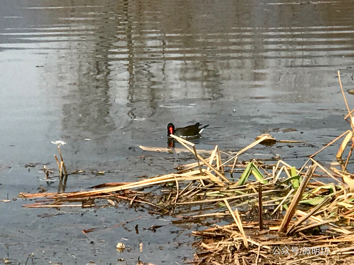 手拍世界作品集402期,手拍世界作品专集