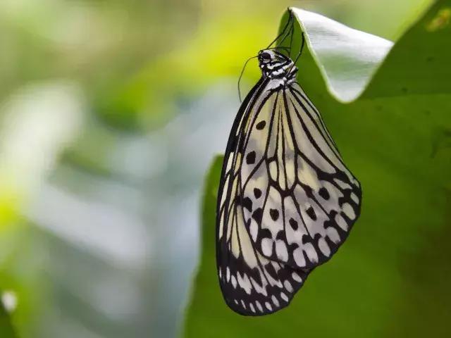 不太累的厦门旅游攻略,不累且便宜的亲子游