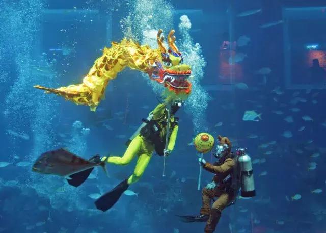 不太累的厦门旅游攻略,不累且便宜的亲子游