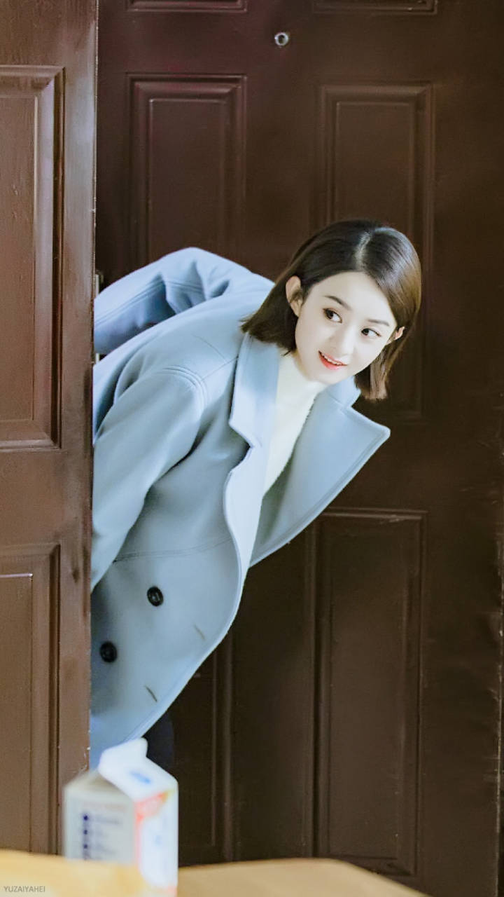 赵丽颖真相,赵丽颖温柔可人美若天仙