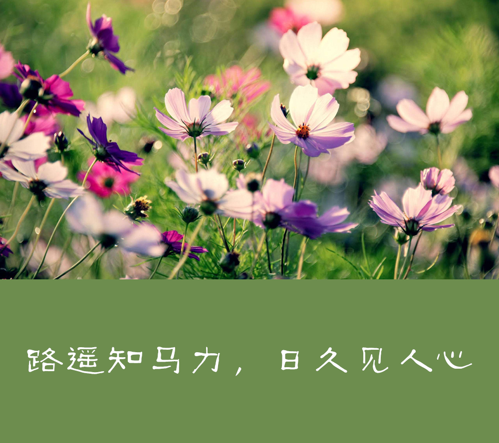 拿你当傻子的人一辈子都别交吗,拿你当傻子的人一辈子都不要深交