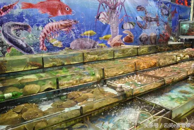 春节留深，去哪里买年货又省又全？