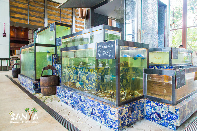 三亚离赤道有多少公里,三亚很远但是目的地并不遥远