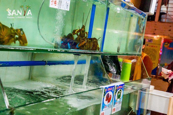 三亚离赤道有多少公里,三亚很远但是目的地并不遥远