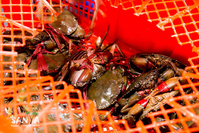 三亚离赤道有多少公里,三亚很远但是目的地并不遥远