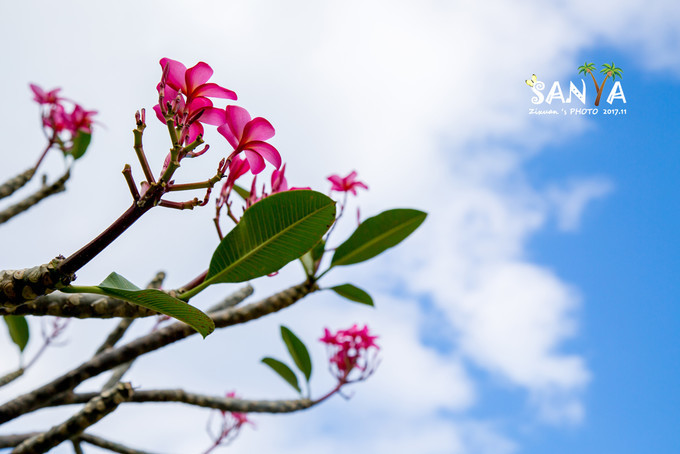三亚离赤道有多少公里,三亚很远但是目的地并不遥远