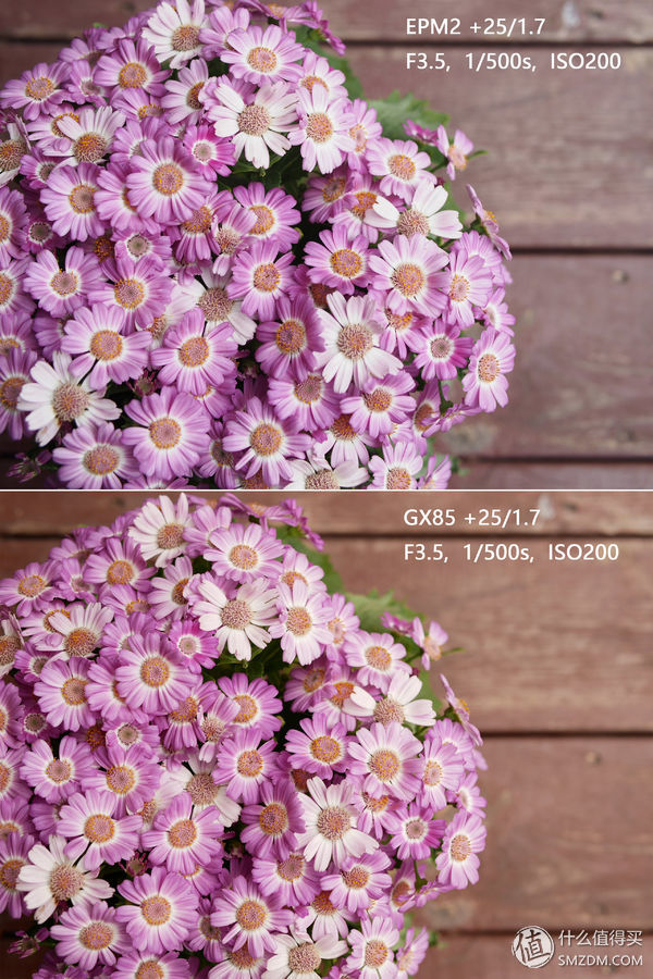 鏉句笅gx85寰崟鐩告満璇勬祴,鏉句笅gx85鍚岀骇鍒殑寰崟