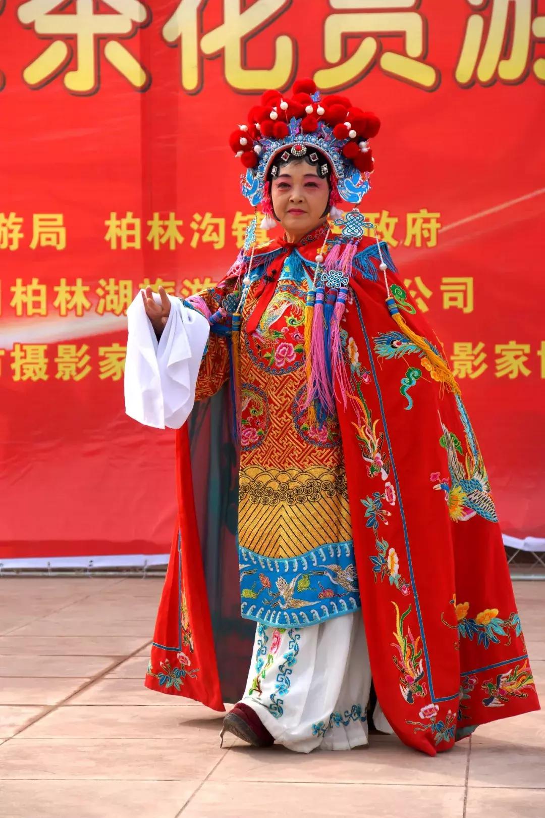 广元市柏林樱花节,广元柏林大型樱花节