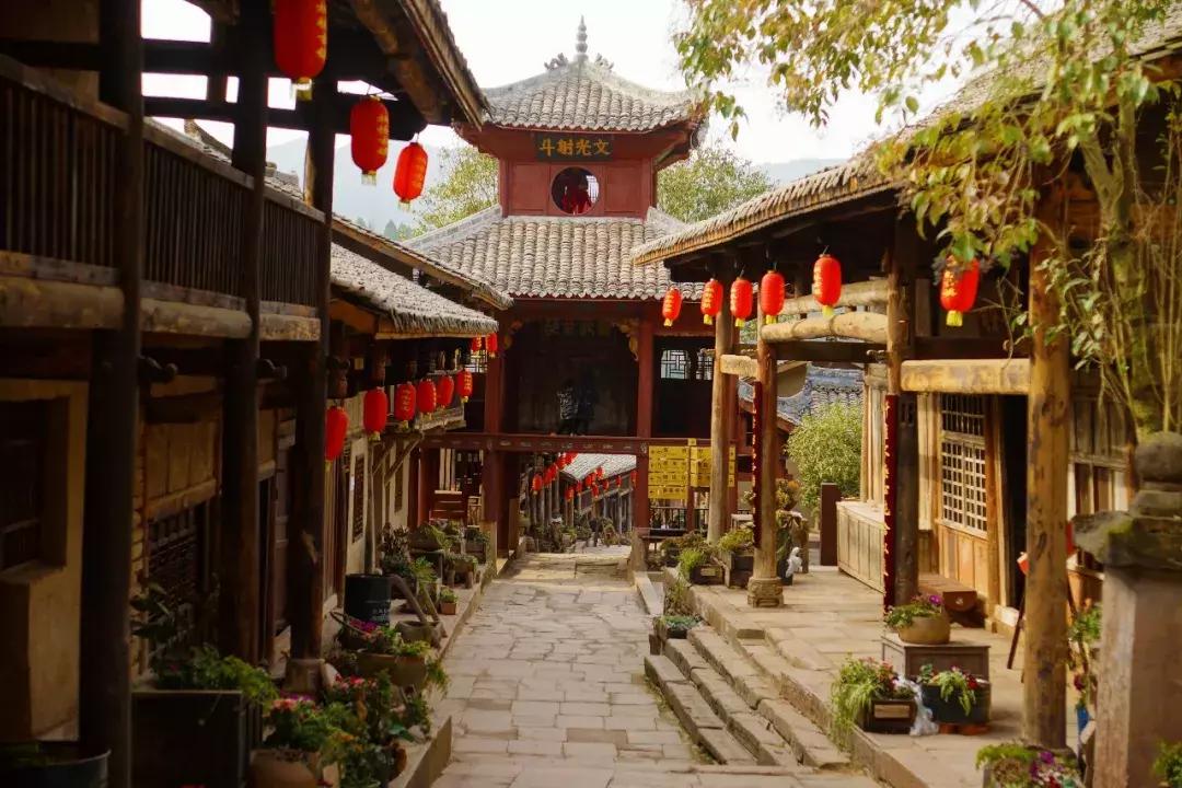 广元市柏林樱花节,广元柏林大型樱花节