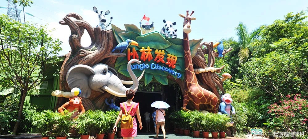 长隆野生动物世界游玩北门攻略,长隆野生动物世界旅游攻略路线