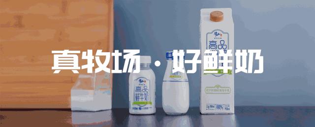 牛小牧巴氏鲜奶,小牧日常训练