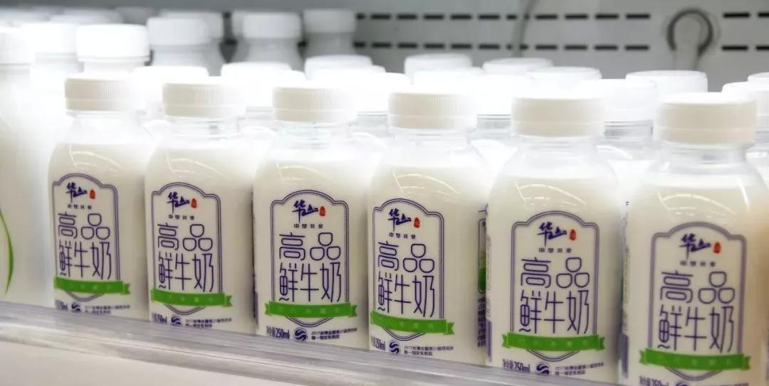 牛小牧巴氏鲜奶,小牧日常训练