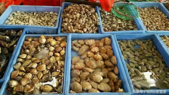 春节留深，去哪里买年货又省又全？