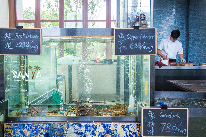 三亚离赤道有多少公里,三亚很远但是目的地并不遥远