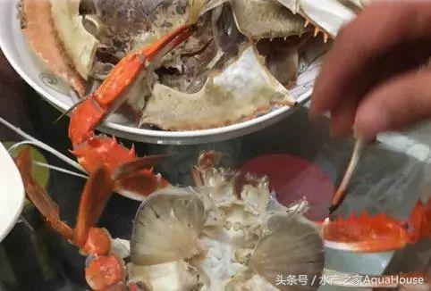 2018年12月19日全国水产价格,水产塘口每日最新报价