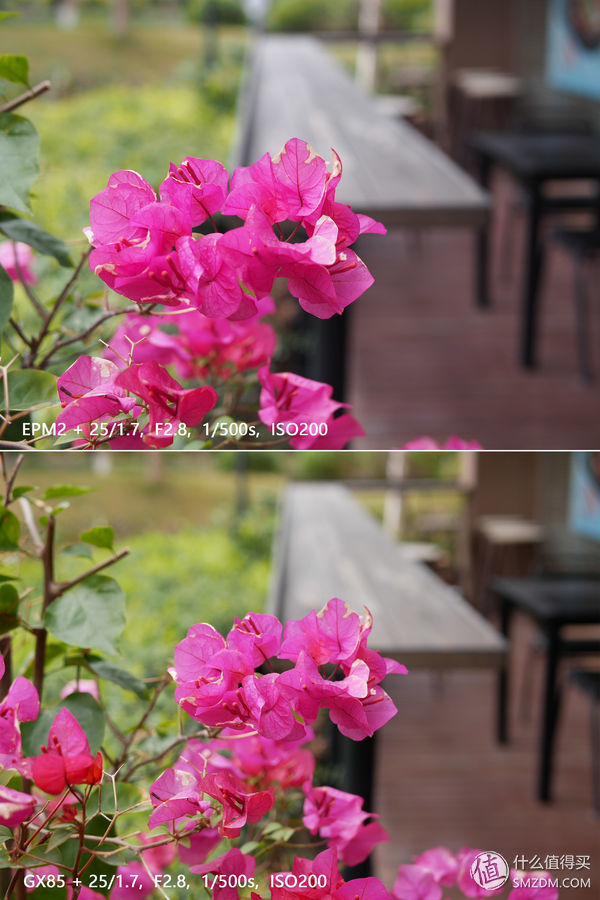 鏉句笅gx85寰崟鐩告満璇勬祴,鏉句笅gx85鍚岀骇鍒殑寰崟