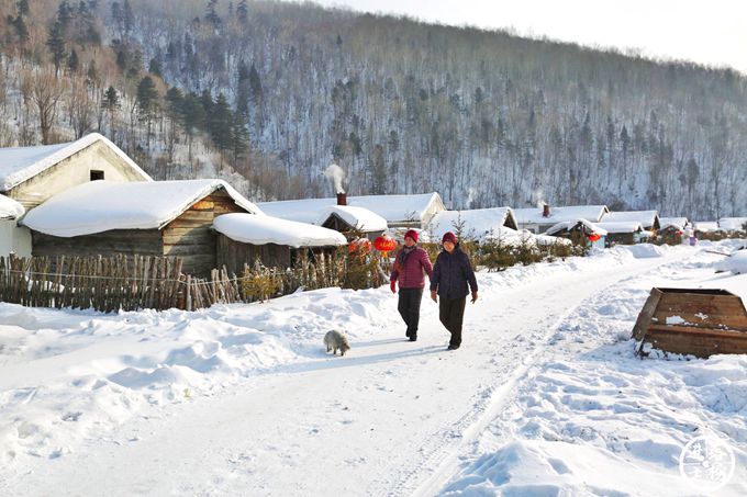 雪村雪乡,雪乡雪村